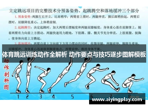 体育跳远训练动作全解析 动作要点与技巧逐步图解模板