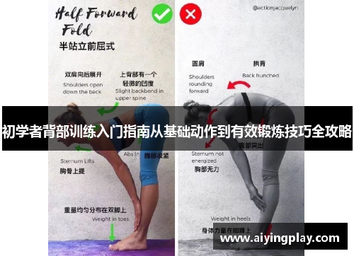 初学者背部训练入门指南从基础动作到有效锻炼技巧全攻略